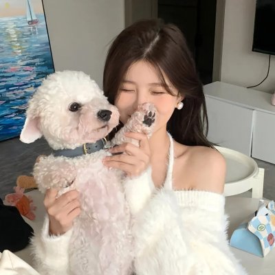 霸道总裁别惹我